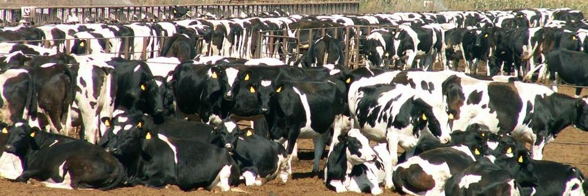 Conservation, Climate, and CAFOs