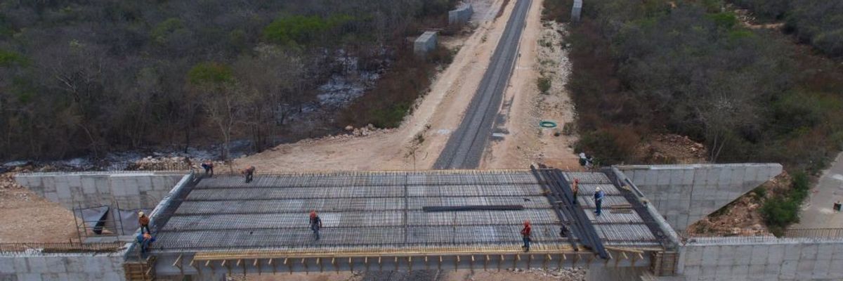 Construction on the Mayan Train cuts through the forest.