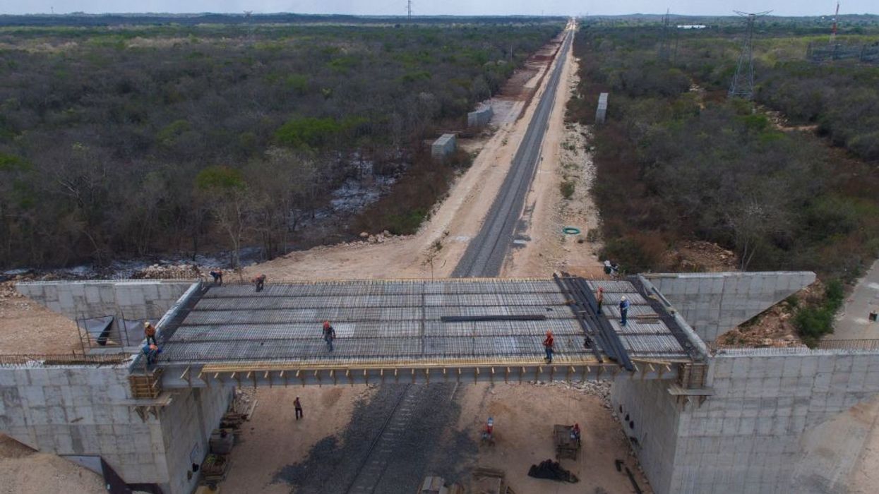Construction on the Mayan Train cuts through the forest.