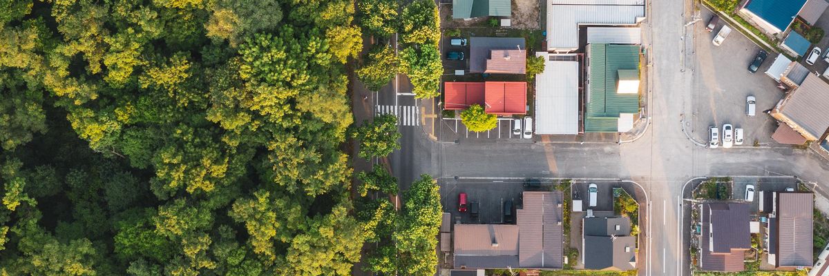 contrast_greenfuture