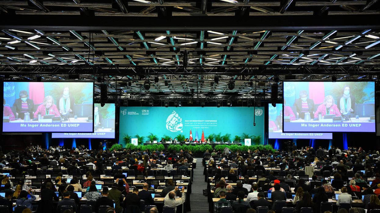 COP15_GettyImages