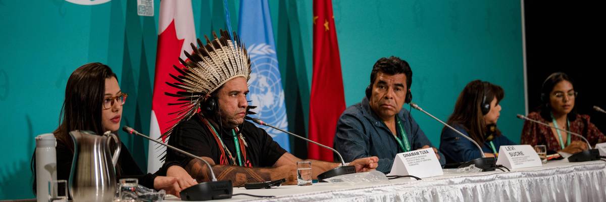 COP15 Indigenous presser