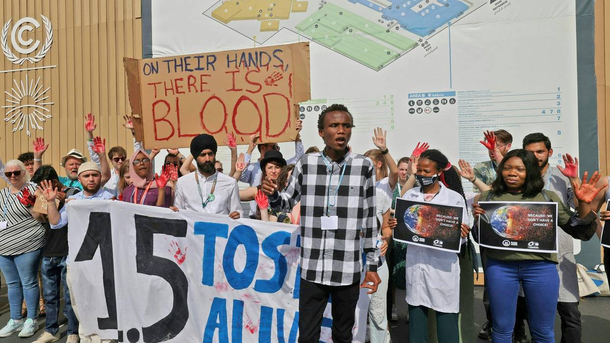 COP27 protest