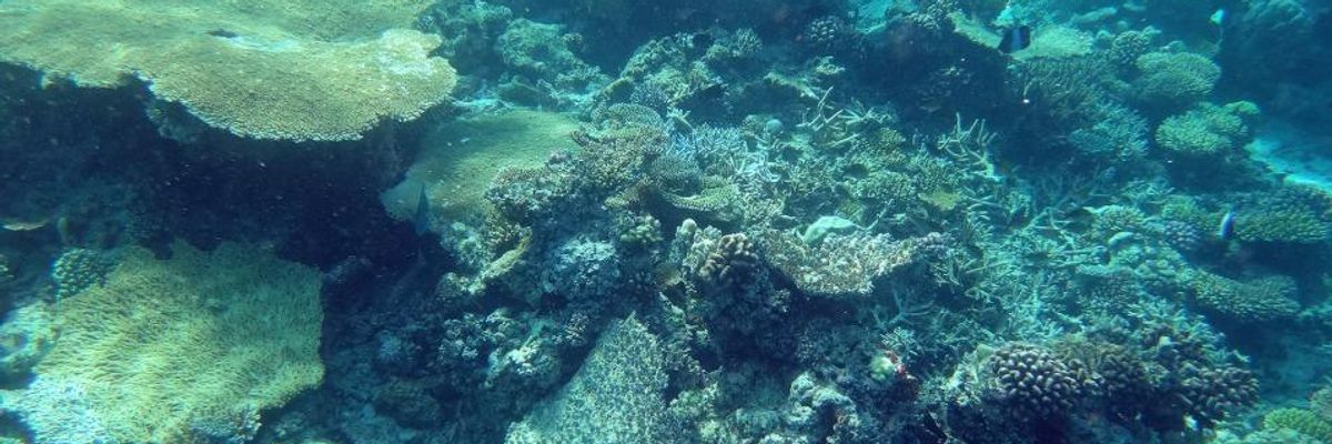 Where is All the 'Missing' Plastic? At the Bottom of the Ocean, Study Finds