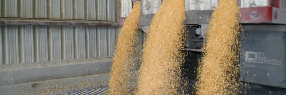 Corn Ethanol: A Lump of Coal in Your Christmas Stocking