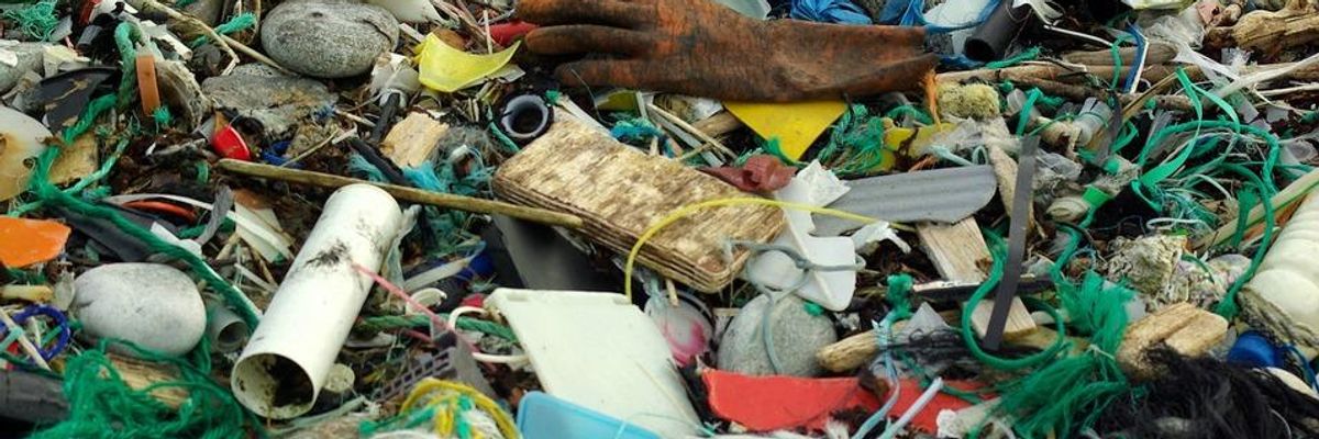 Plastic: An Invasive Species We Created and Must Confront