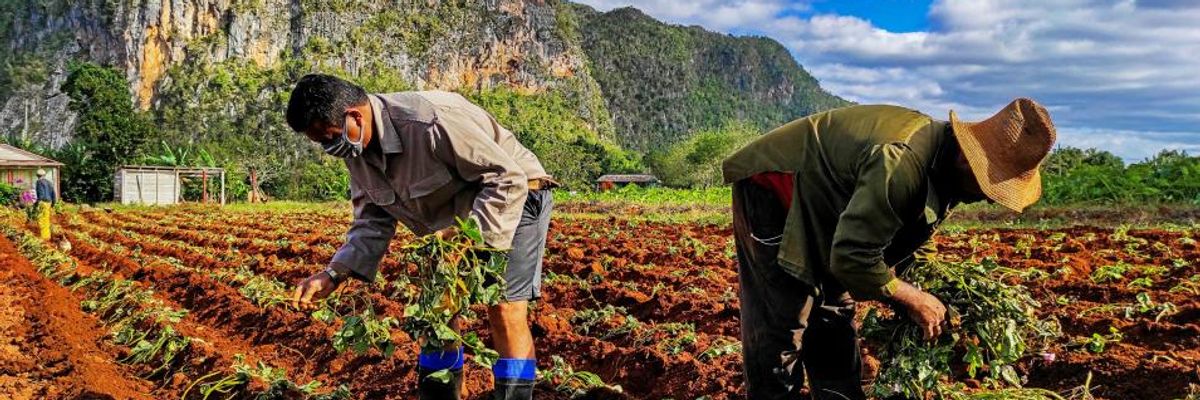 The Trump Administration's Parting Outrage Against Cuba