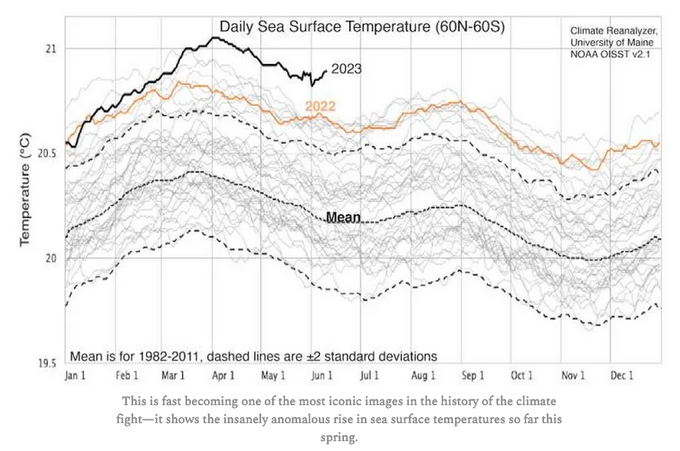 Daily Sea Surface Temperatures / Source: NOAA