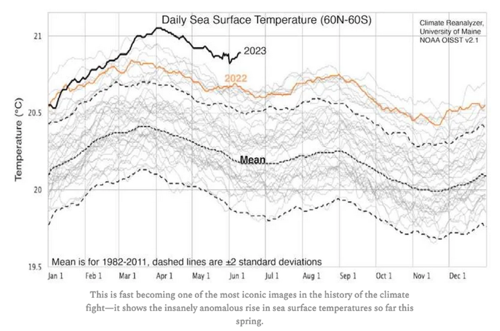 Daily Sea Surface Temperatures / Source: NOAA