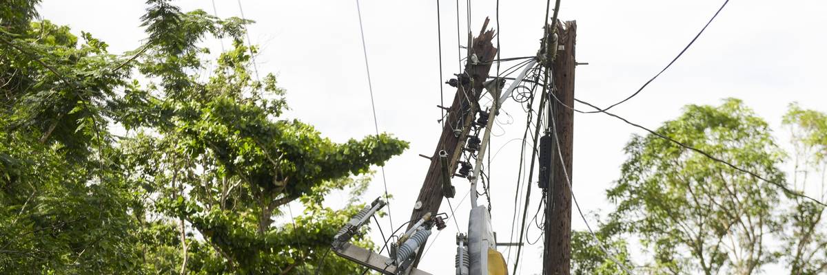 Damaged power lines