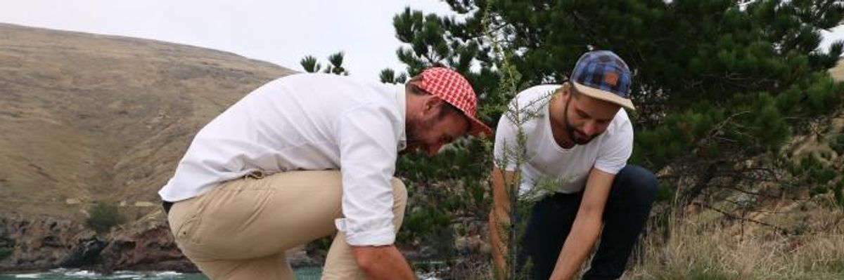 "Trump Forest" Blooms to Counter "Trump's Monumental Stupidity" and Attack on Earth