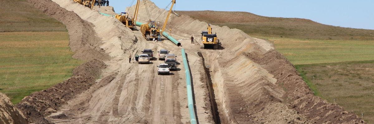 Opinion | Black Snake Bleeding Out: How DAPL Is Duping Investors ...