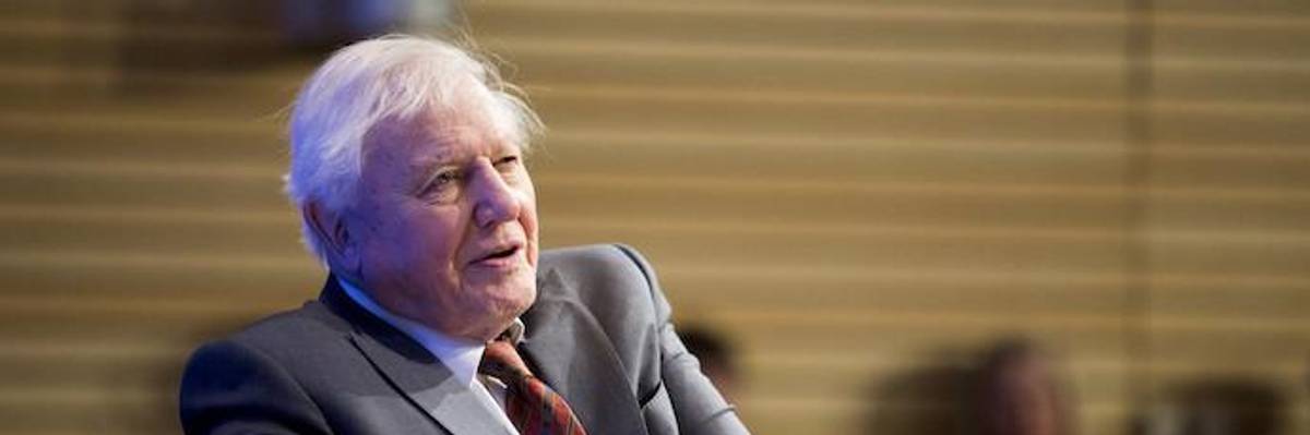 Attenborough's Online Climate Warning Shatters Guinness Record for Instagram Following