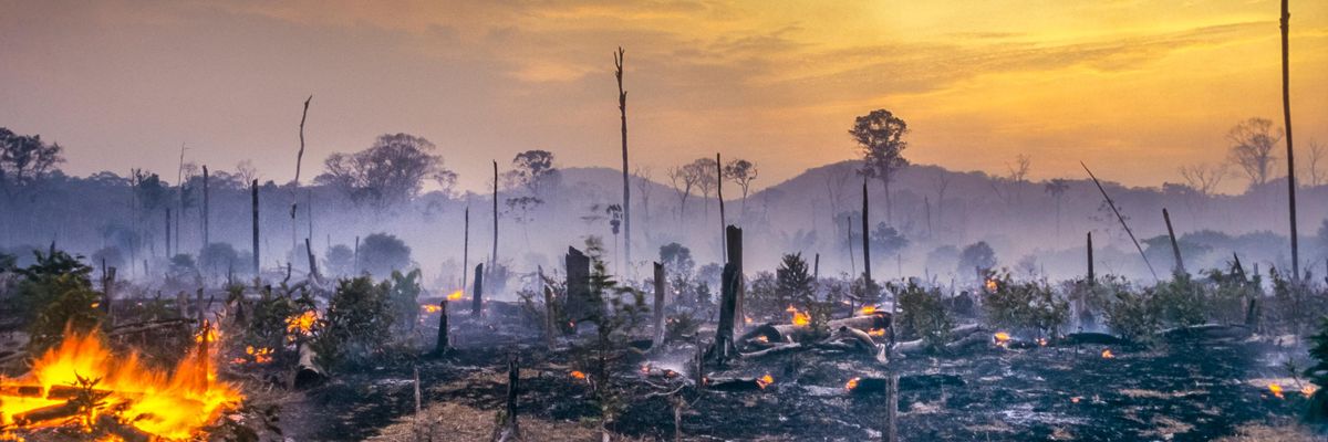 deforestation_amazon_rainforest