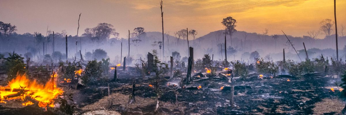 deforestation_amazon_rainforest