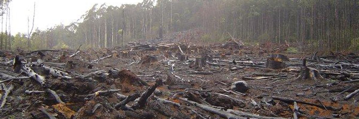 Development: A Failed Project