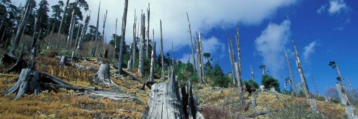 Humanity Risking 'Global Disaster' as Material Consumption Passes 100 Billion Tons Annually