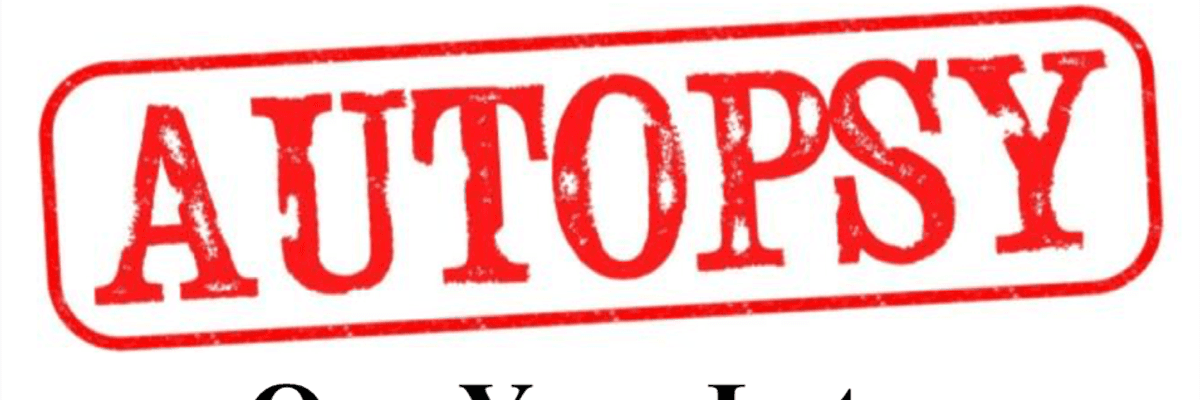 Democratic Autopsy: One Year Later