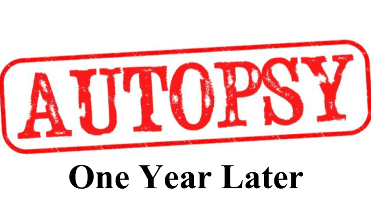 Democratic Autopsy: One Year Later