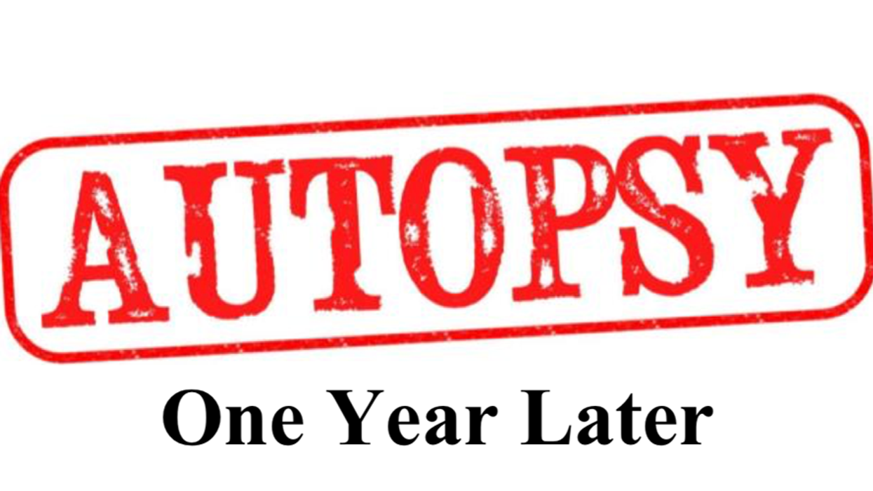 Democratic Autopsy: One Year Later