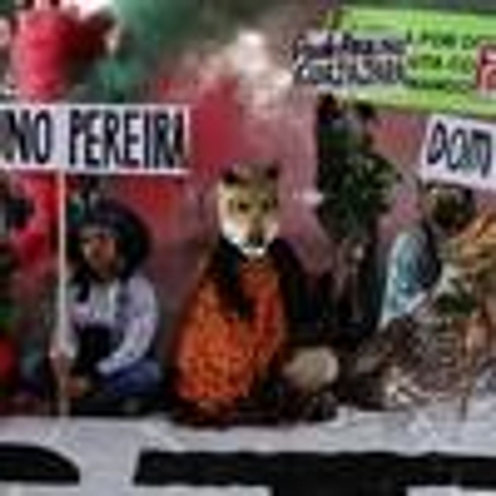 demonstrators for Bruno Pereira and Dom Phillips