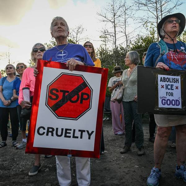 Demonstrators protest against Immigration and Customs Enforcement (ICE)
