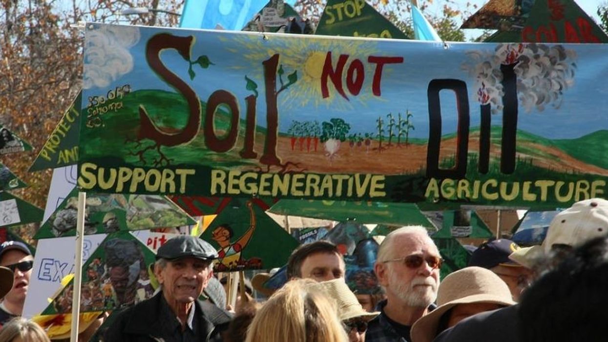 Regenerative Agriculture Is Key for a Sustainable Climate and Food System