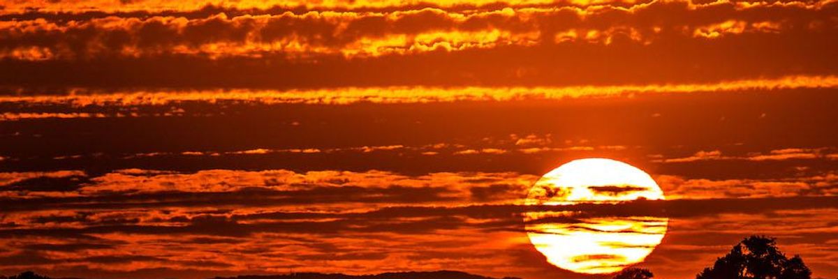 'A Winning Issue' for 2020: Polling Shows Strong Support for Bold Climate Policies