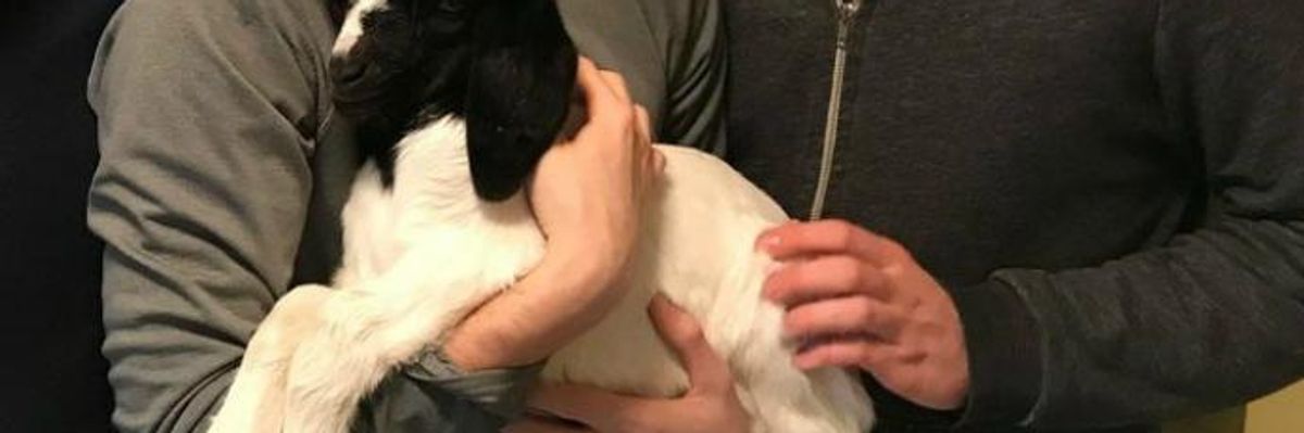 As Big Ag Targets Activists, Animal Rights Leader Arrested on Felony Charges for Saving Sick Baby Goat