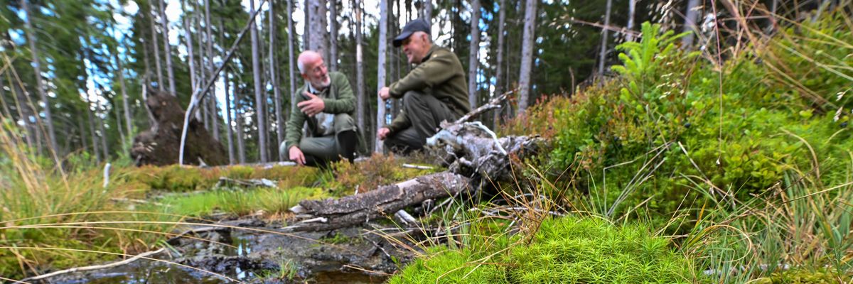 Dirk-Roger Eisenhauer, head of the Competence Center Forest and Forestry of Sachsenforst, and Stephan Schusser, former head of the Eibenstock forest district