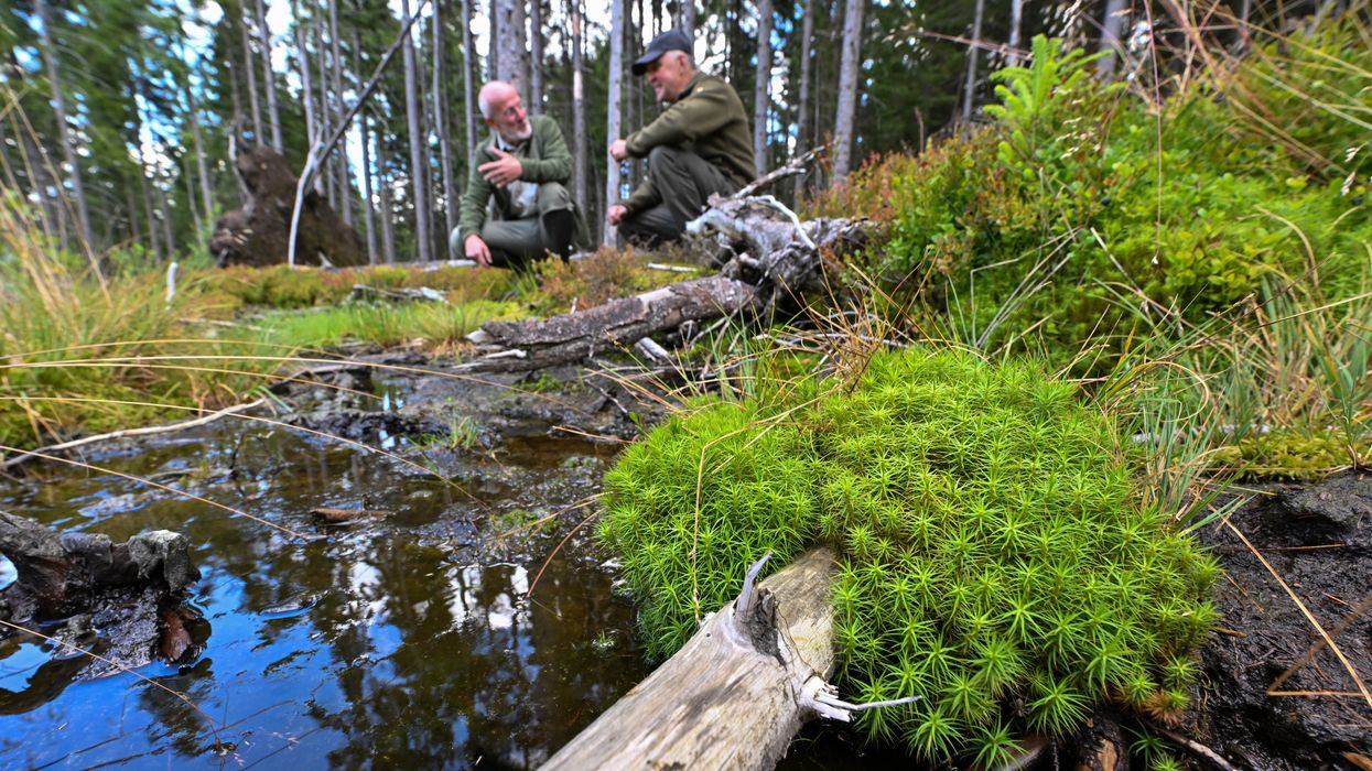 Dirk-Roger Eisenhauer, head of the Competence Center Forest and Forestry of Sachsenforst, and Stephan Schusser, former head of the Eibenstock forest district