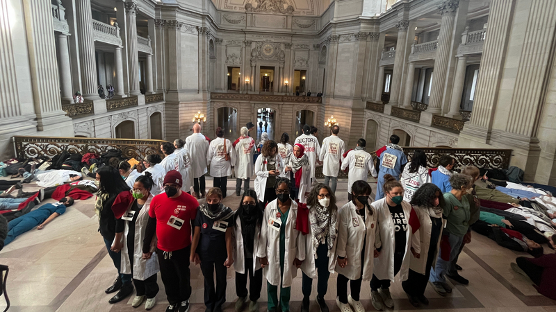 Doctors protest the Gaza genocide