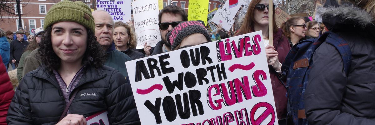 domestic violence and gun control