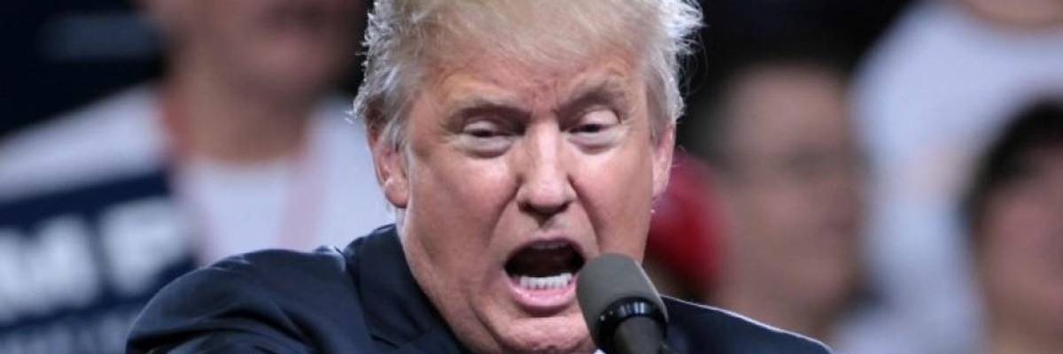 Where Are the Influentials Who Find Trump Despicable?