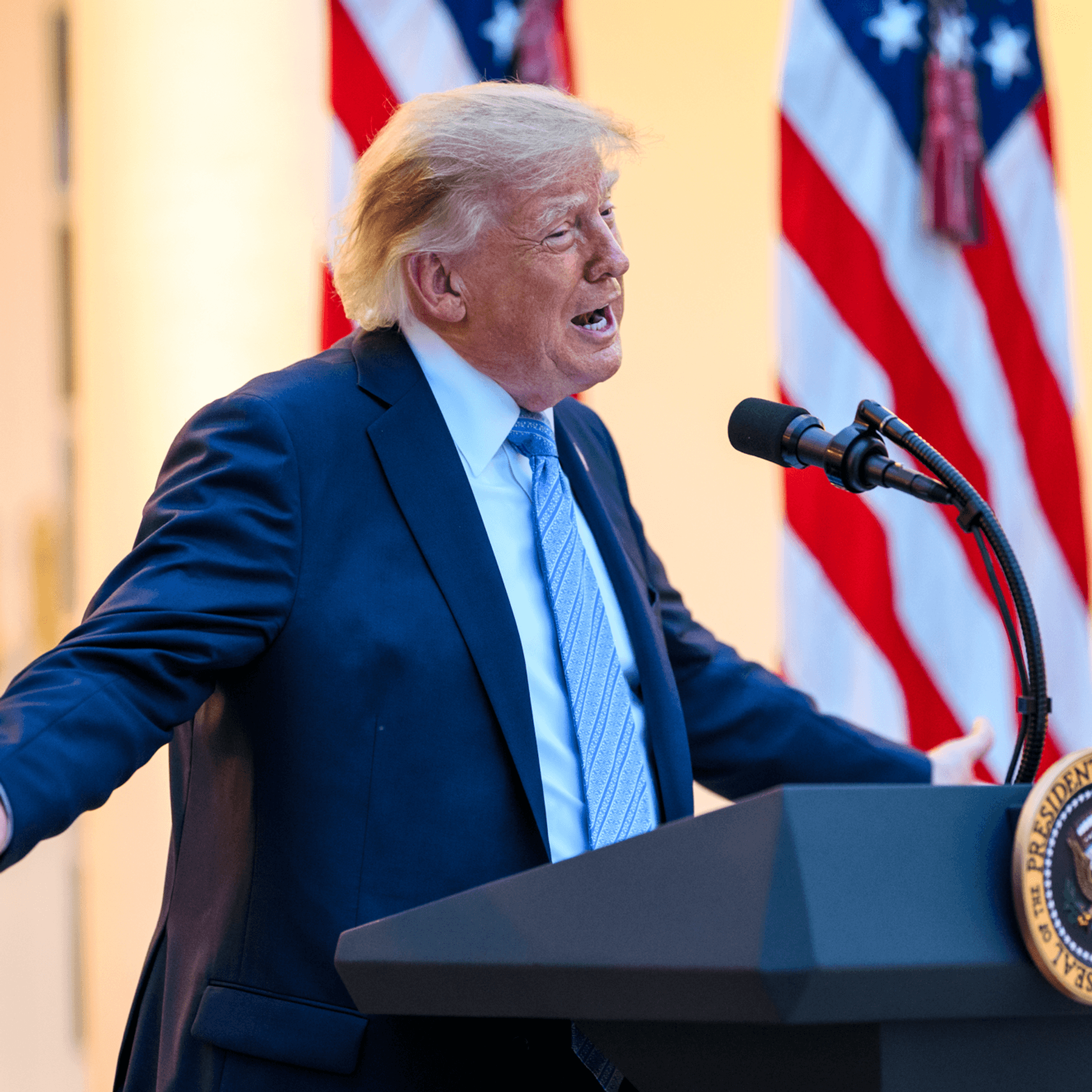 Donald Trump speaks
