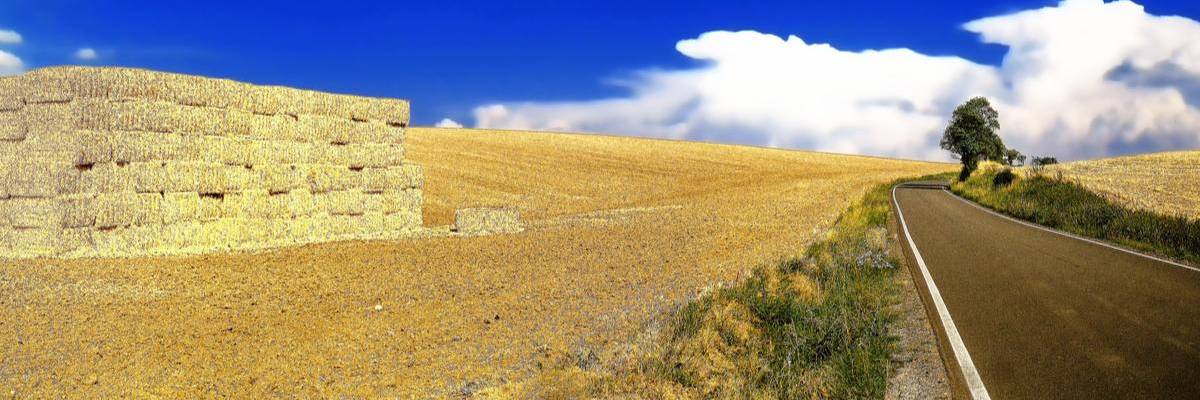 Climate Catastrophe Comes for Europe