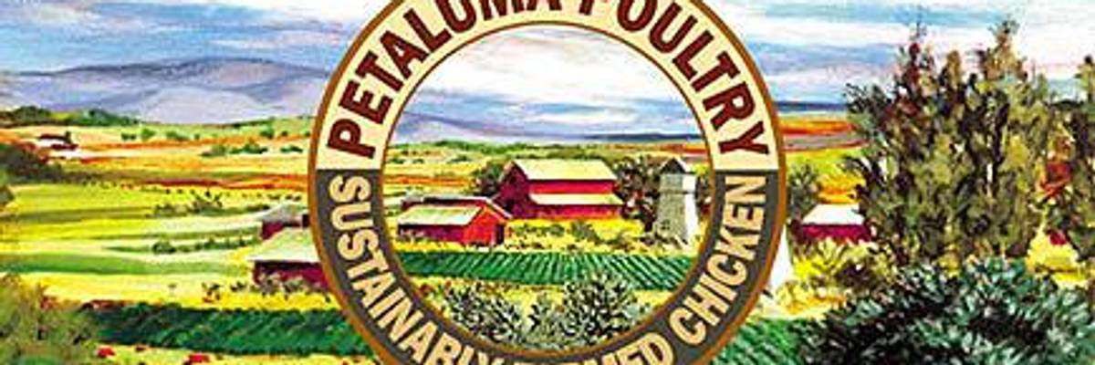 Police Arrest 58 Activists After Factory Conditions Exposed at 'Free Range' Perdue Supplier