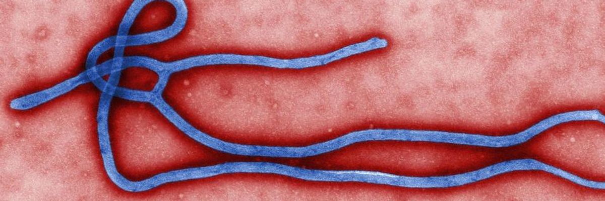 WHO Declares Ebola Outbreak a 'Public Health Emergency'