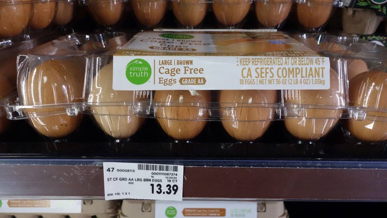 Egg prices