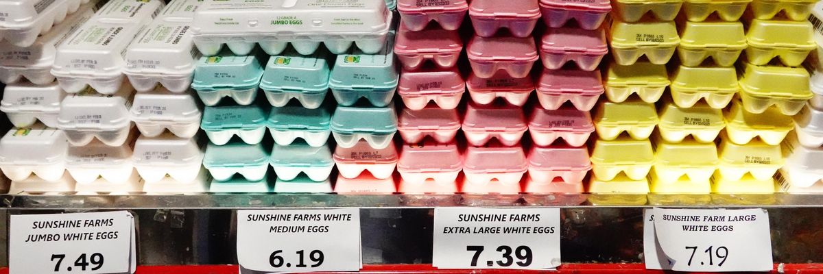 Eggs are seen on a shelf at Pioneer Supermarkets on January 12, 2023 in New York City.