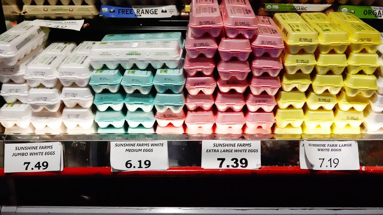 Eggs are seen on a shelf at Pioneer Supermarkets on January 12, 2023 in New York City.