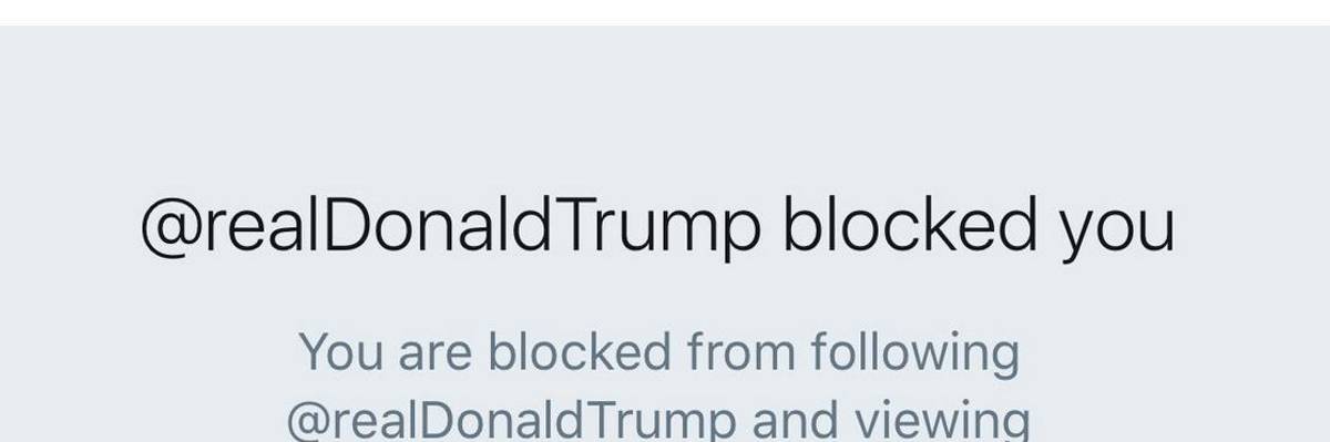 Citing Free Speech, Dissenters Sue Trump for Blocking Them on Twitter