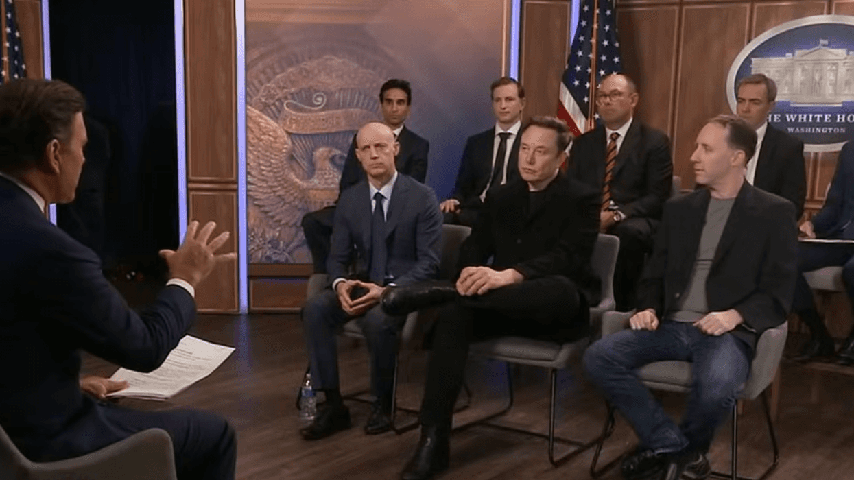 Elon Musk and DOGE staffers appear together on Fox News