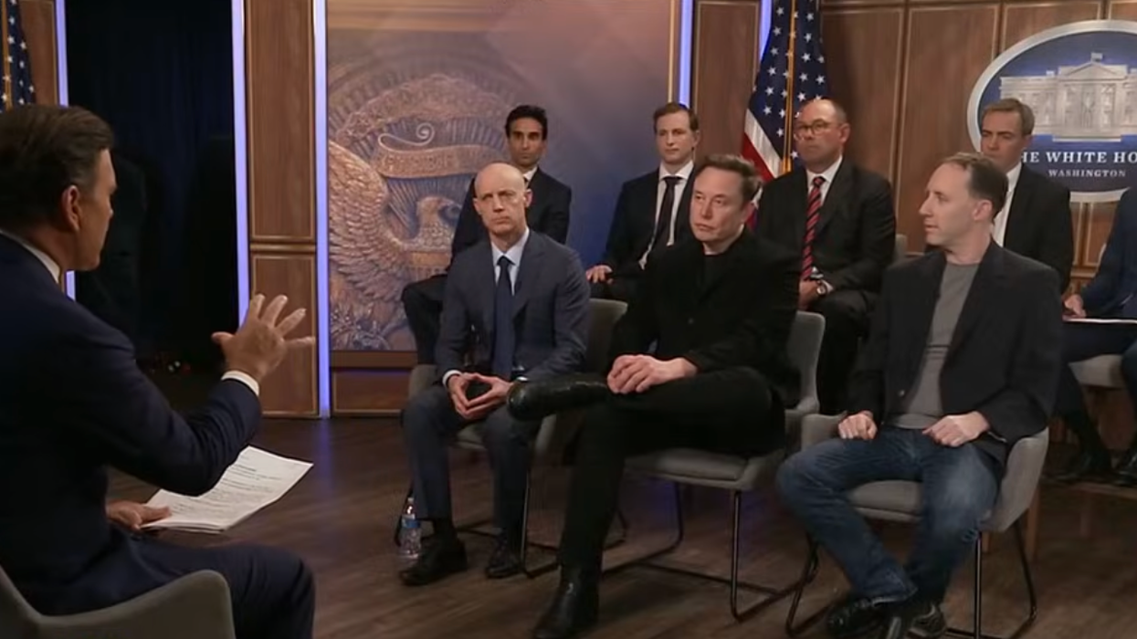 Elon Musk and DOGE staffers appear together on Fox News