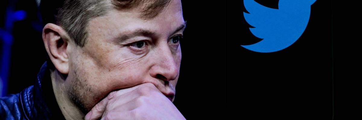 Elon Musk is displayed next to Twitter's logo