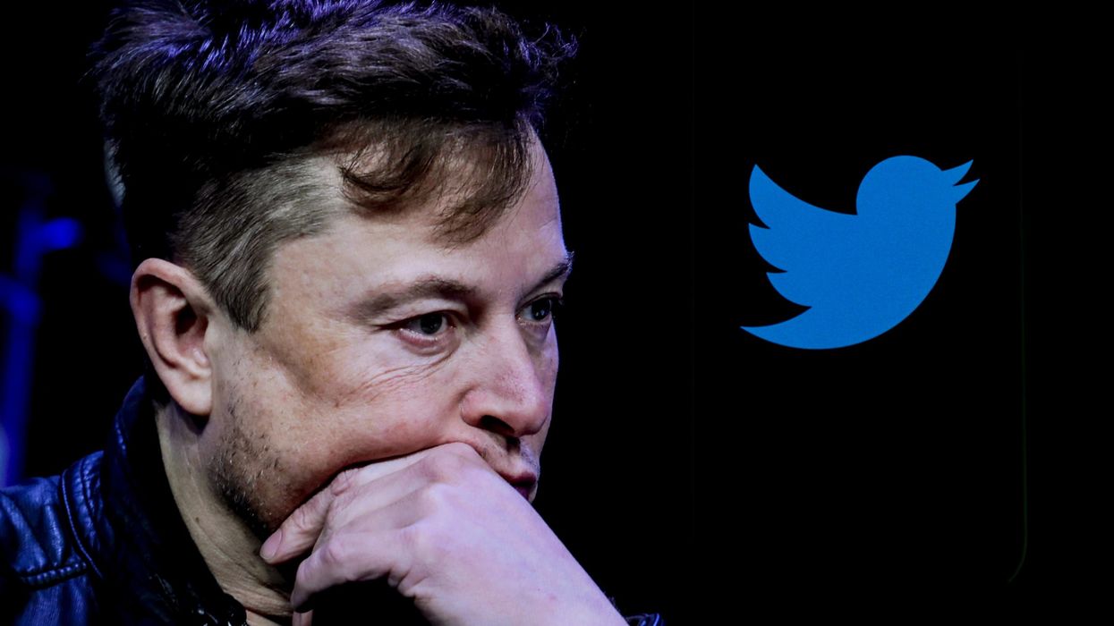 Elon Musk is displayed next to Twitter's logo