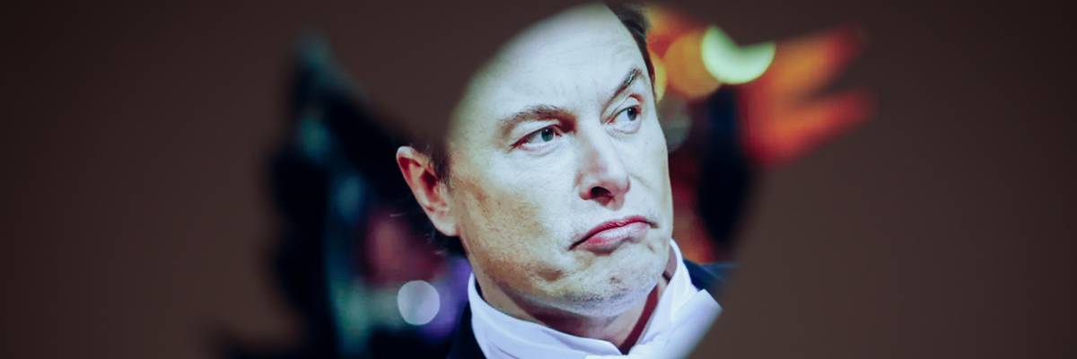 Elon Musk is shown in a photo illustration