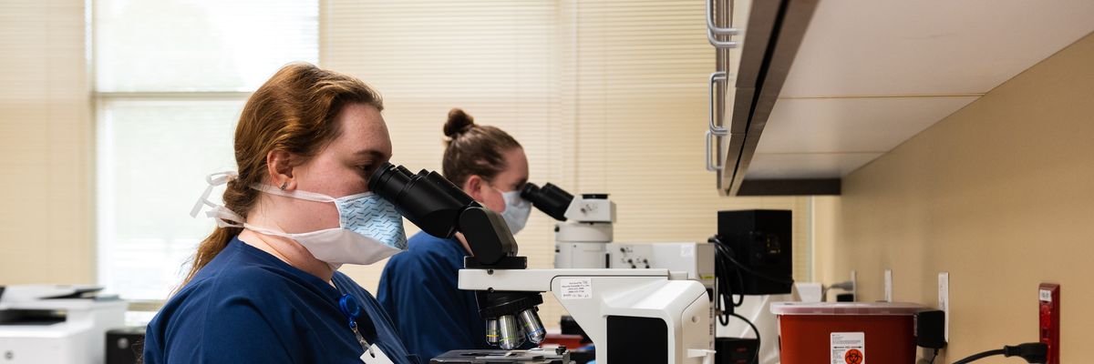 Embryologists analyze sperm cells 