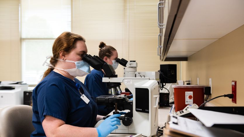 Embryologists analyze sperm cells