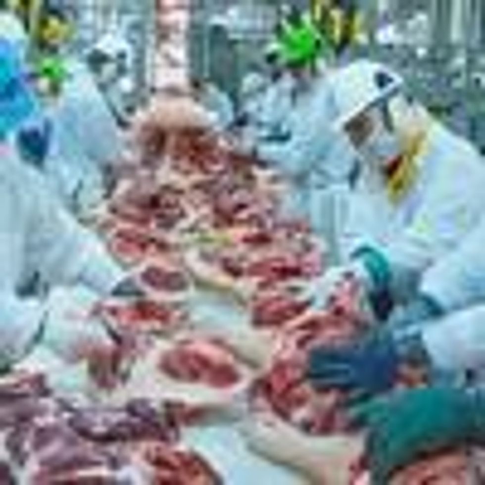Employees at the Triumph Foods plant in St. Joseph Missouri process pig parts. (Photo: USDA)